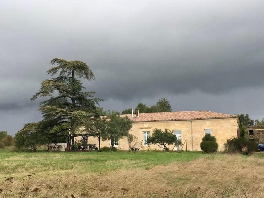 Beau Gite Dans Domaine Viticole & Arboricole Cursan Dış mekan fotoğraf